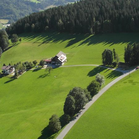Haslehnerhof Villa Ramsau am Dachstein Bagian luar foto