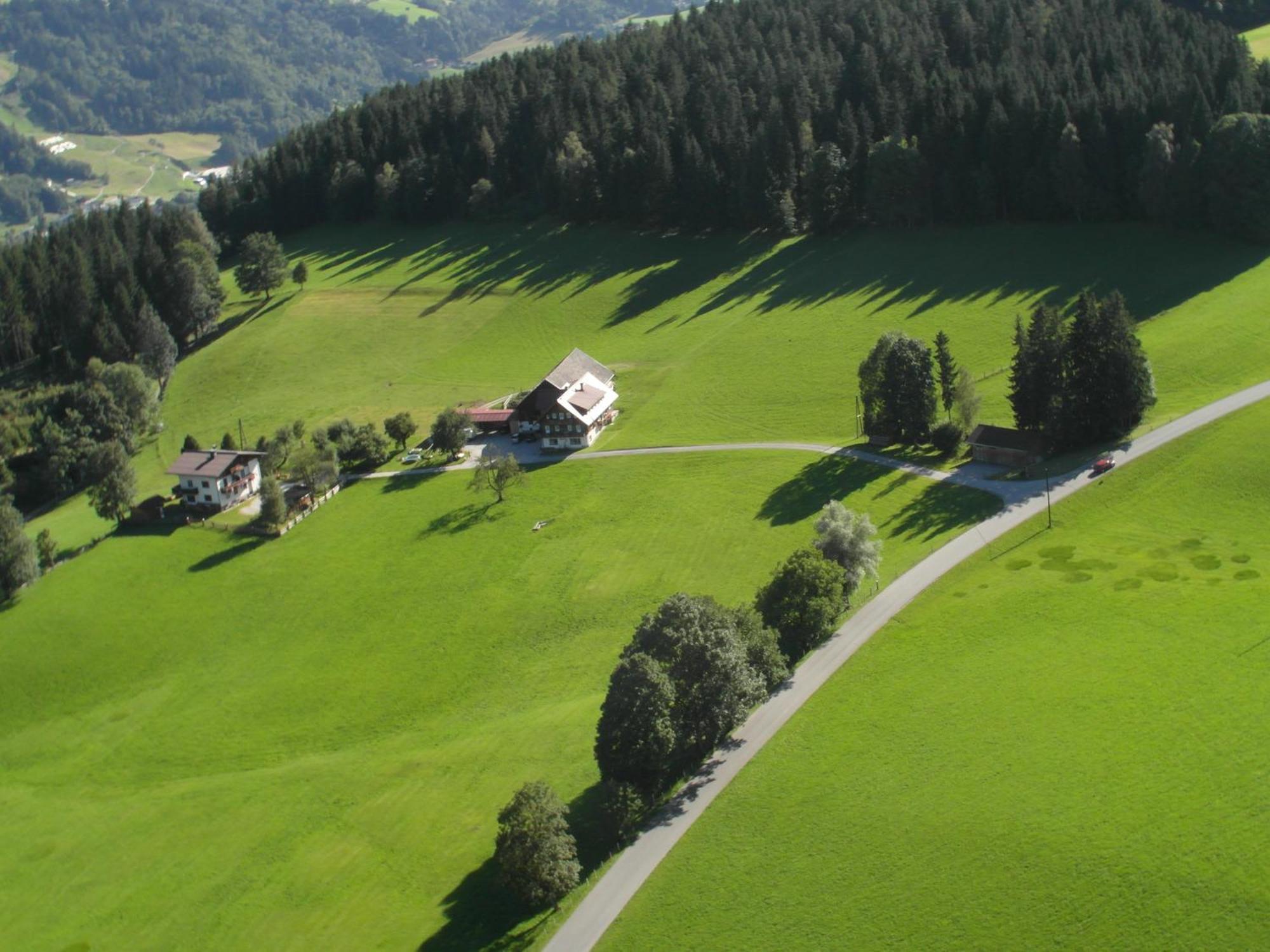 Haslehnerhof Villa Ramsau am Dachstein Bagian luar foto