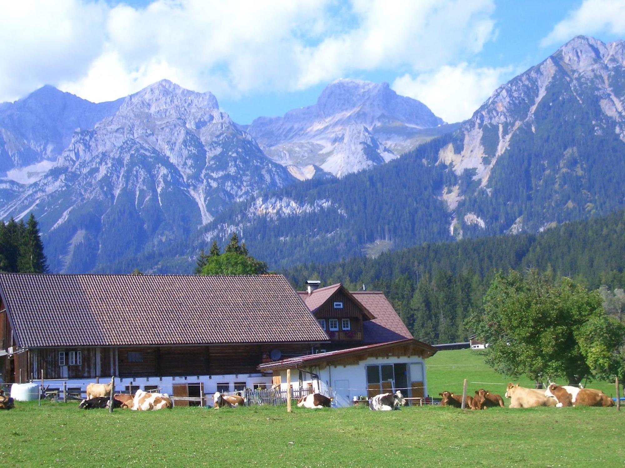 Haslehnerhof Villa Ramsau am Dachstein Bagian luar foto