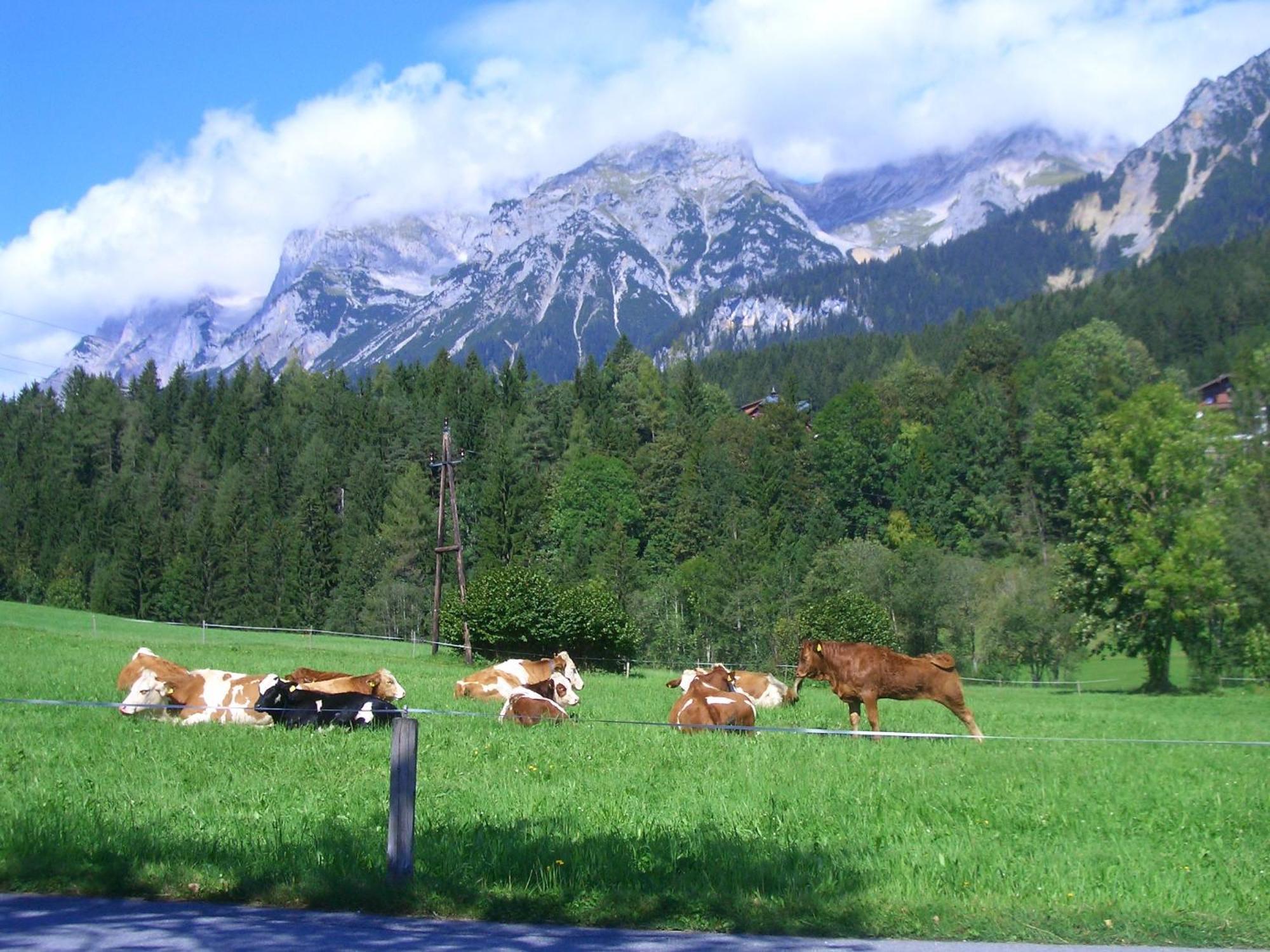 Haslehnerhof Villa Ramsau am Dachstein Bagian luar foto