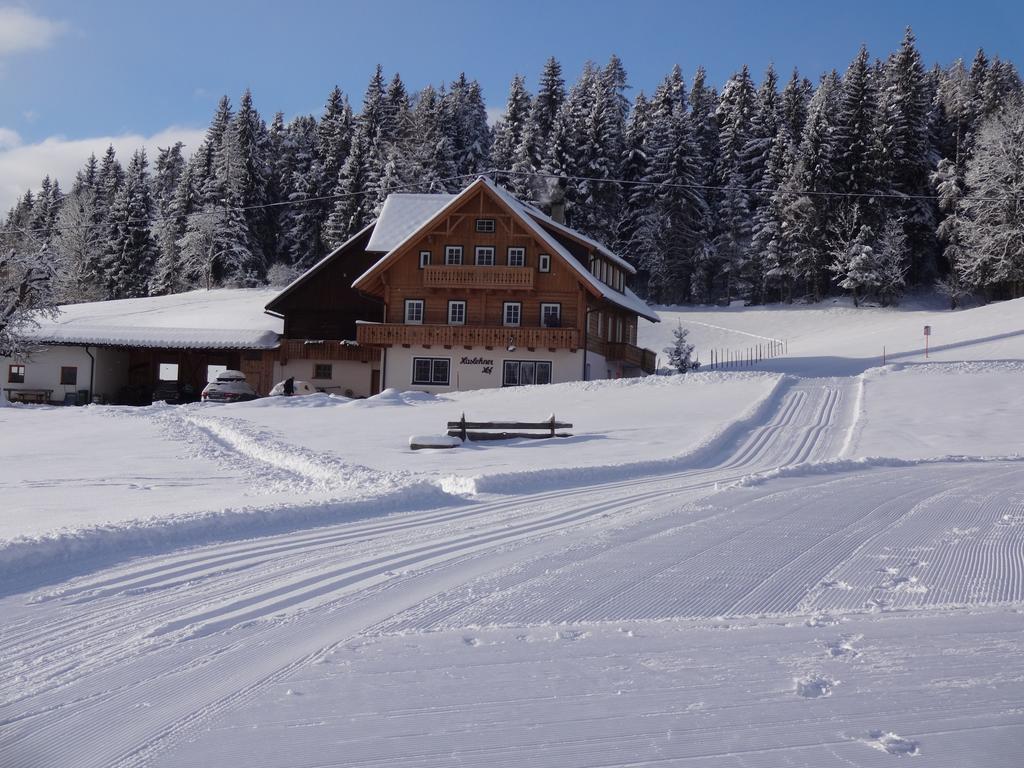Haslehnerhof Villa Ramsau am Dachstein Bagian luar foto