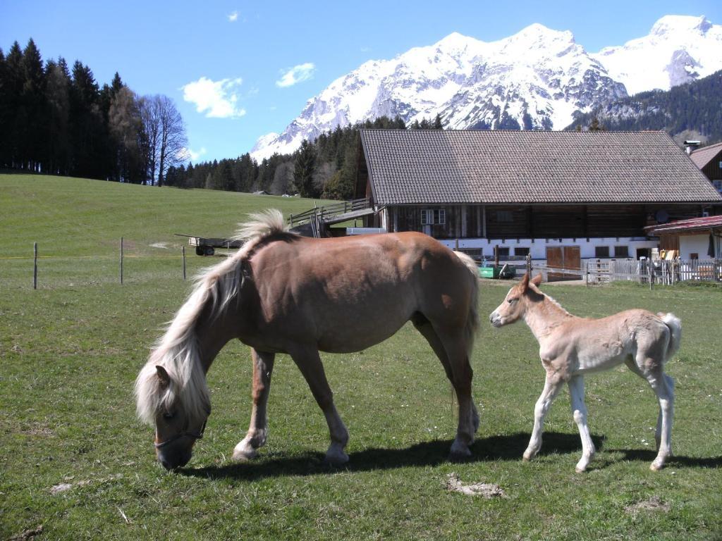 Haslehnerhof Villa Ramsau am Dachstein Bagian luar foto